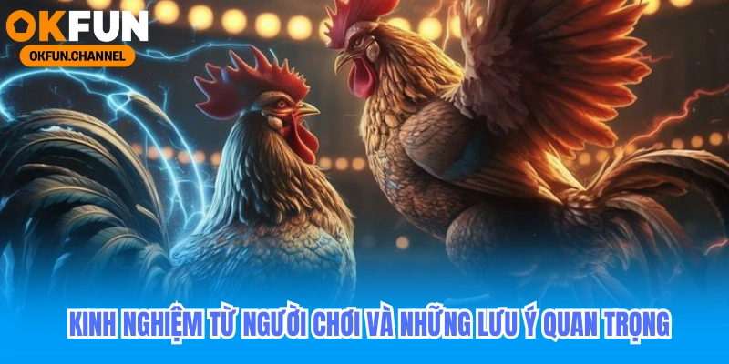 Kinh nghiệm từ người chơi và những lưu ý quan trọng